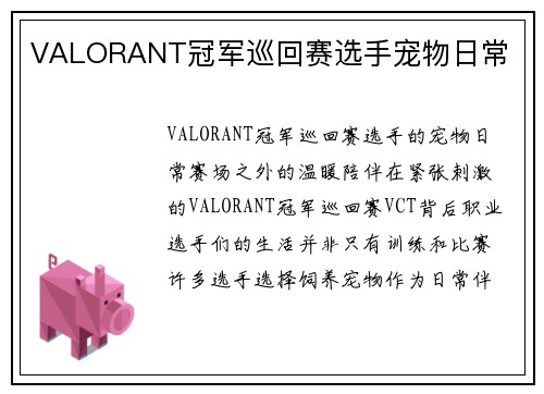 VALORANT冠军巡回赛选手宠物日常