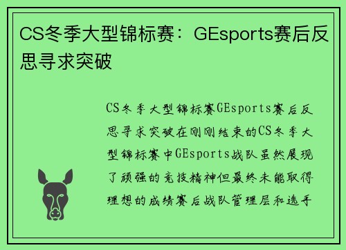 CS冬季大型锦标赛：GEsports赛后反思寻求突破