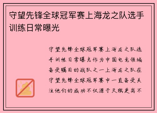 守望先锋全球冠军赛上海龙之队选手训练日常曝光